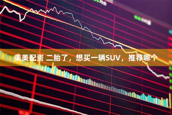 美美配资 二胎了，想买一辆SUV，推荐哪个