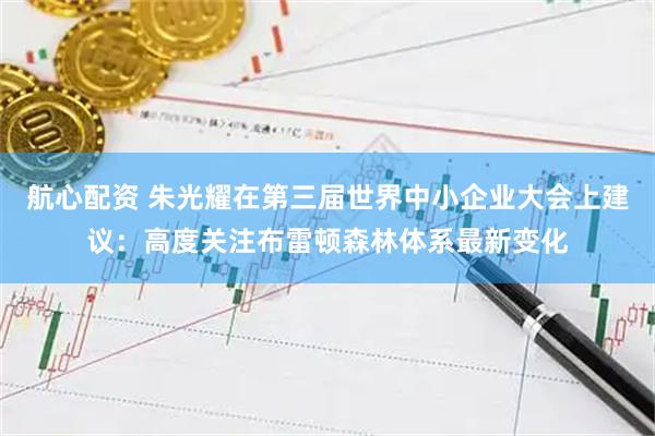 航心配资 朱光耀在第三届世界中小企业大会上建议：高度关注布雷顿森林体系最新变化